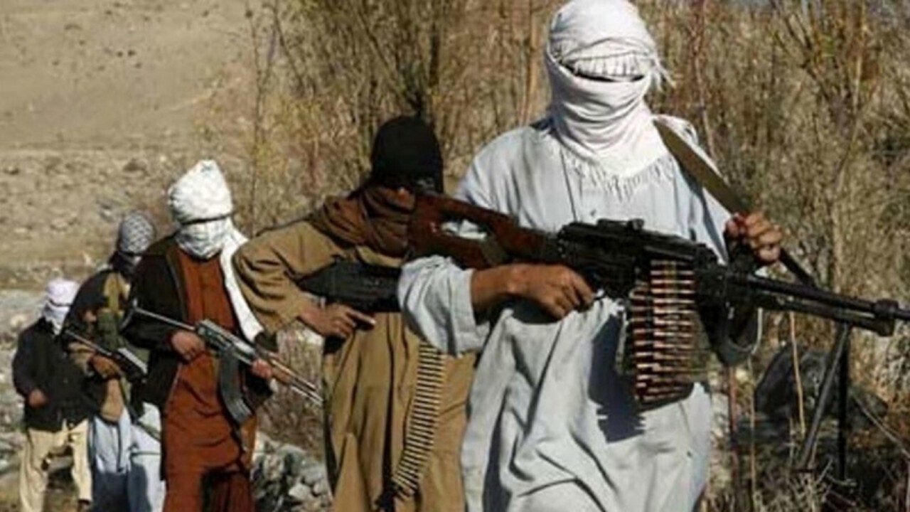 هلاکت یک سرکرده تی تی پی در افغانستان
