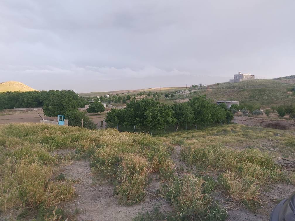 جلوه گری طبیعت