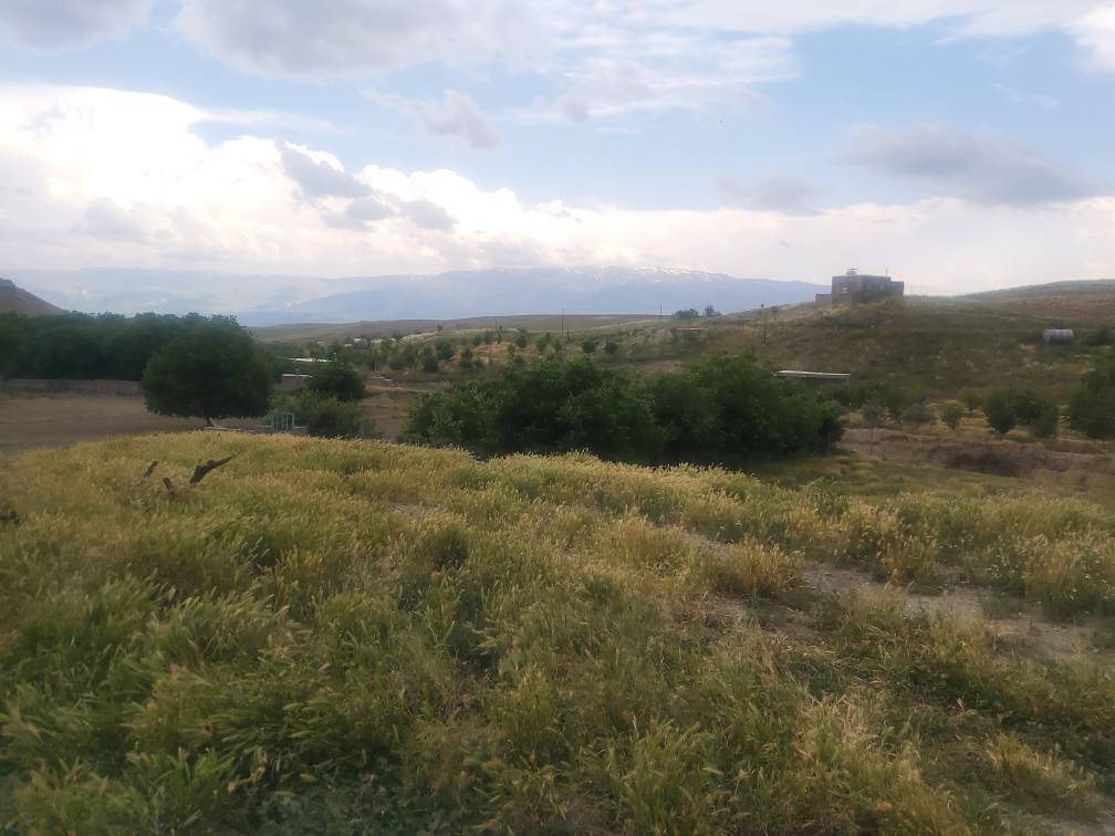 طبیعت