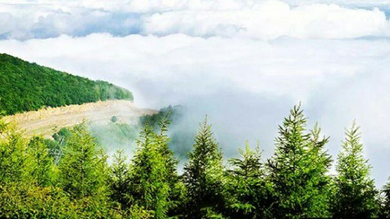پایداری هوای گرم و شرجی درگیلان