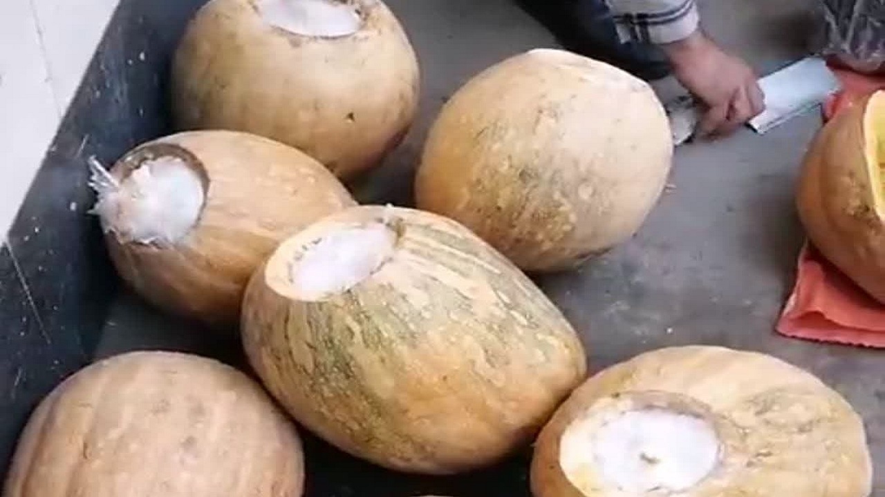 بار شیشه به مقصد نرسید