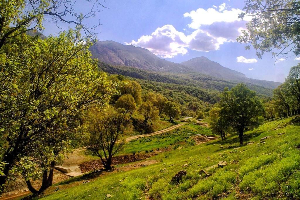 ارتقای حفاظت از منابع طبیعی در استان اردبیل