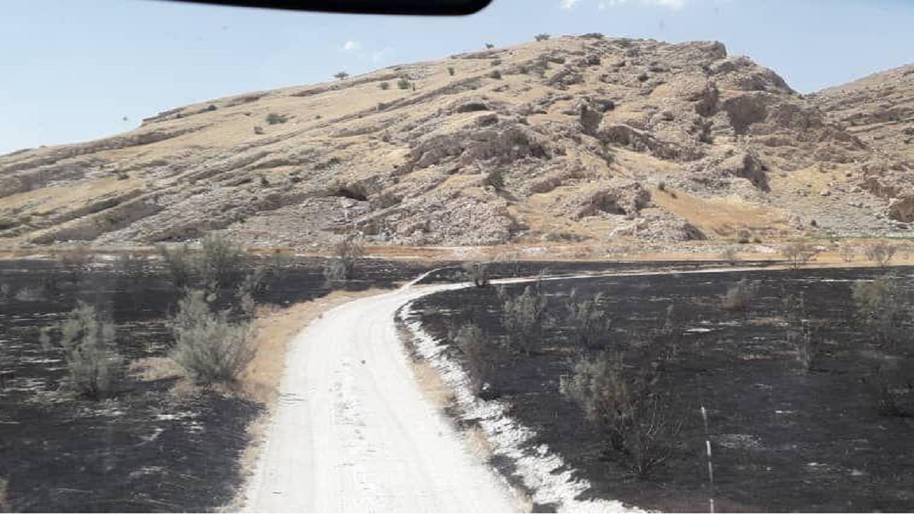 ایجاد آتش بر در ۹۵ درصد مناطق جنگلی گچساران