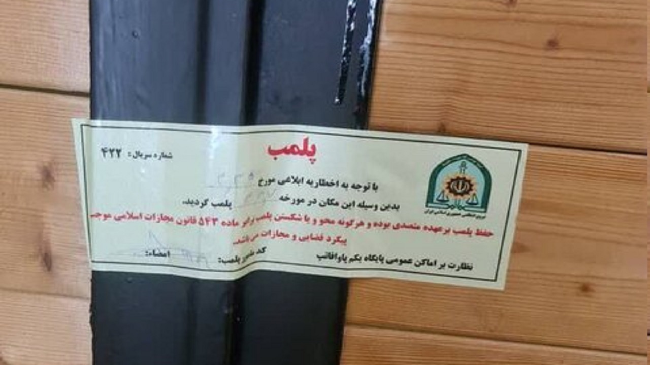 کافه سگ‌ها در شمال تهران پلمب شد