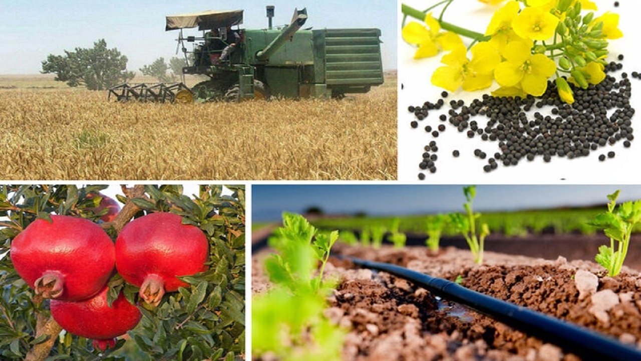نخستین کارخانه نوآوری صنایع غذایی کشور تاسیس می‌شود