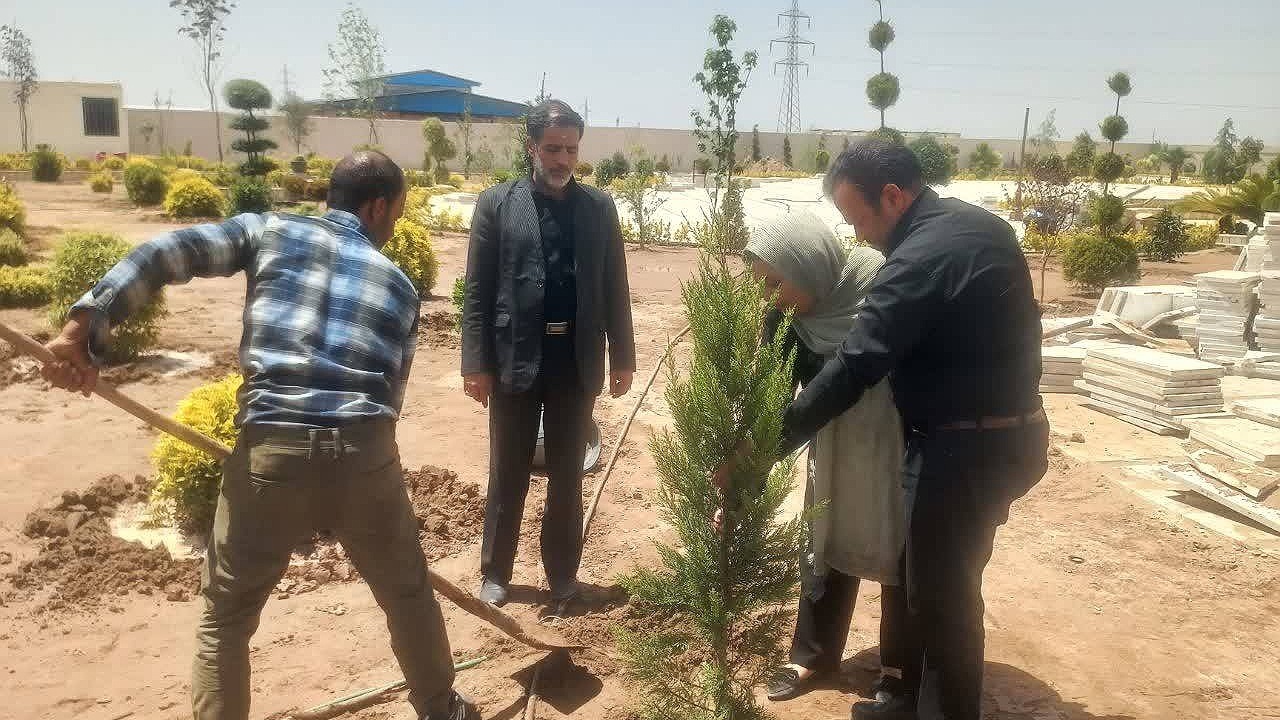 کاشت نهال سرو به یاد سروهای خدمت در زرند