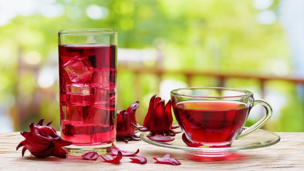 برداشت طلای سرخ گیاهی + فیلم