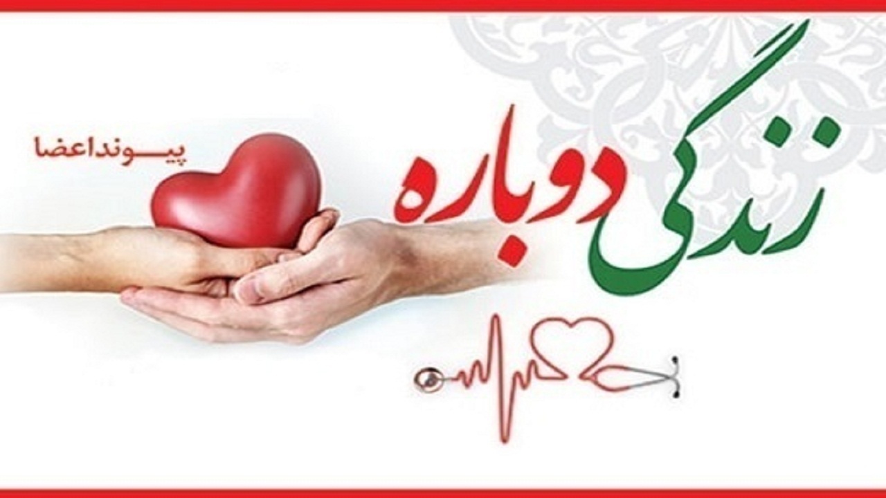 با رشد دو برابر اهدای عضو به ۳۰ بیمار زندگی دوباره بخشیده شد