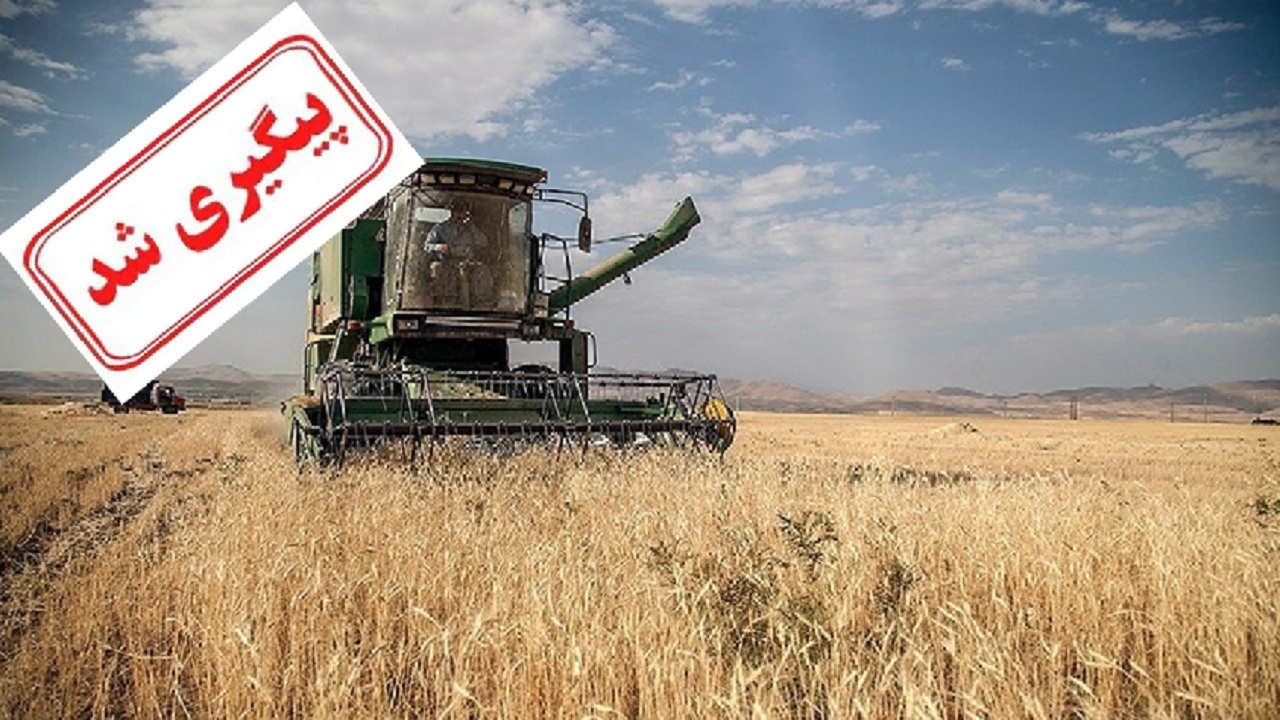 رئیس بنیاد ملی گندمکاران از پرداخت ۴۴ درصد مطالبات گندمکاران خبر داد