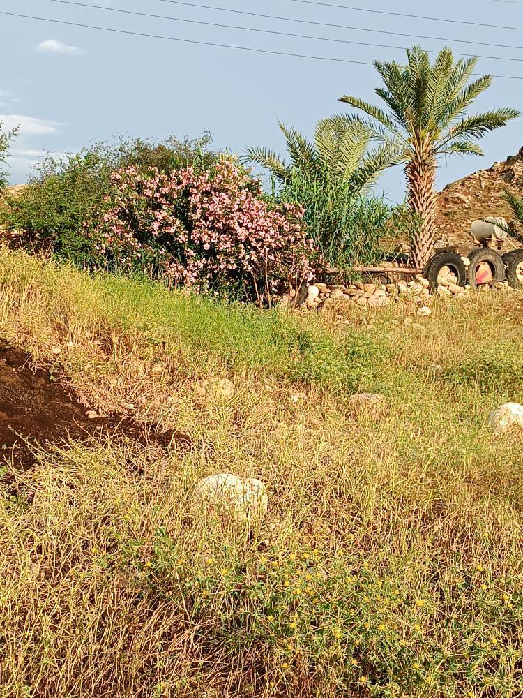 جاذبه گردشگری در بخش الوار گرمسیری