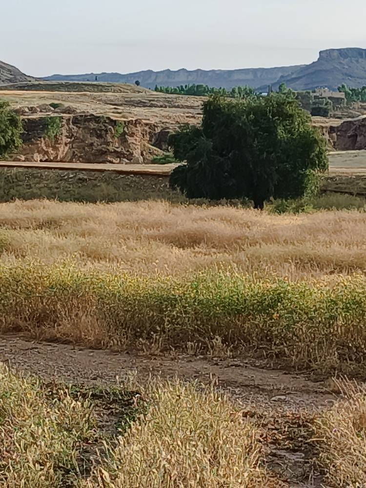 مناظر بخش الوار گرمسیری