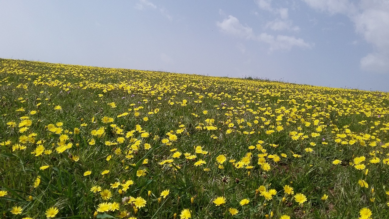 افزایش نسبی دمای هوا از چهارشنبه در گیلان