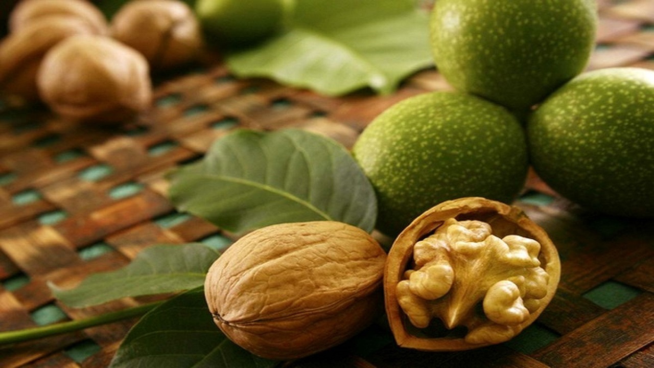 برداشت بیش از ۱۹ هزار تن گردو در تویسرکان