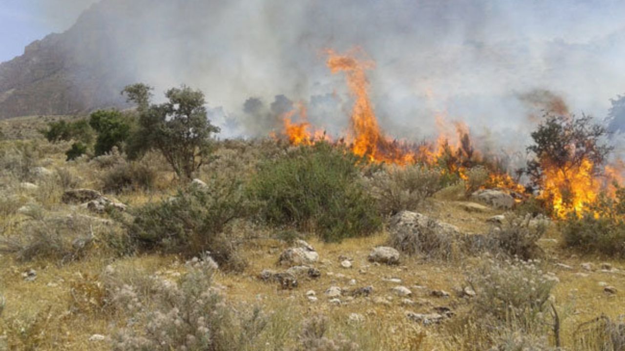 خسارت آتش سوزی به ۲۰ هکتار مراتع شهرستان اردل