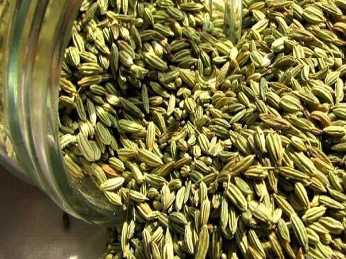 کاشت گیاهان دارویی، برداشت جواهر از خاک سیاه