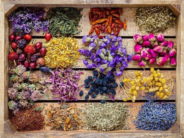 کاشت گیاهان دارویی، برداشت جواهر از خاک سیاه