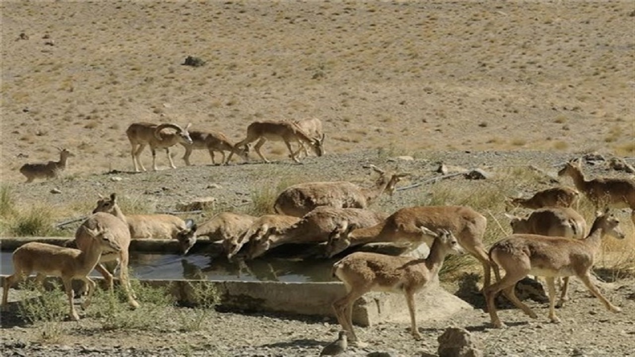 ۲۶۰ هزارهکتار به مناطق حفاظت‌شده اصفهان اضافه شد