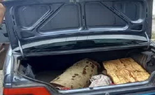 قاچاق چوب با پژو در رودبار