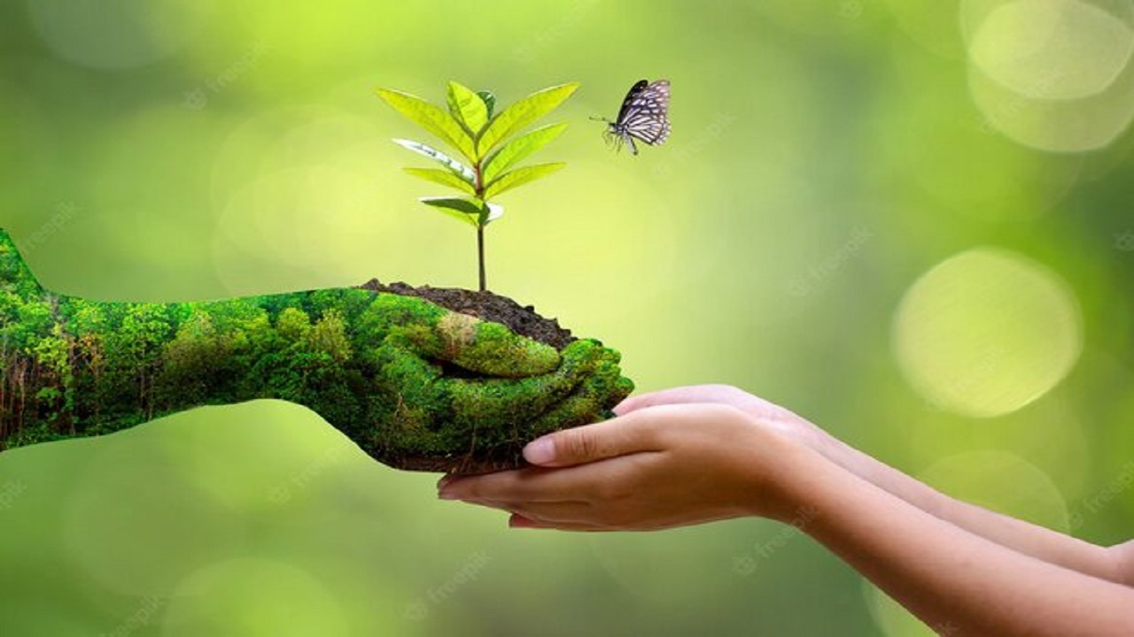 حدود ۲۰ هزار نفر در خراسان جنوبی همیار طبیعت هستند