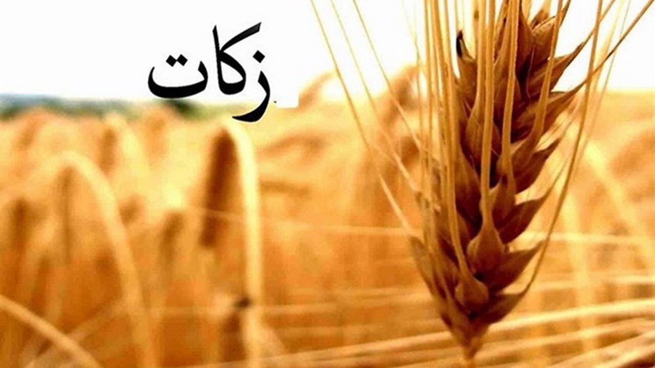 پیش بینی جمع آوری ۲۰ میلیارد تومان زکات در ایلام
