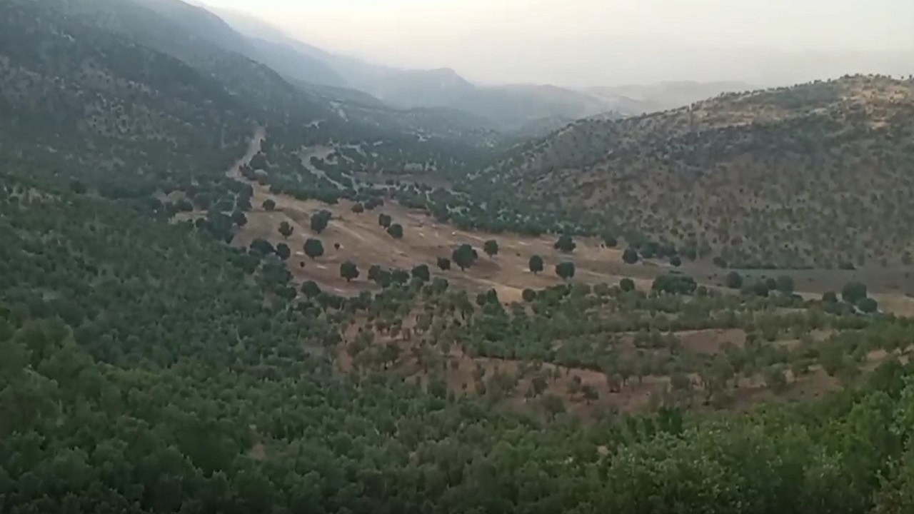 بخشی از طبیعت سرسبز کهگیلویه و بویراحمد به روایت فیلم