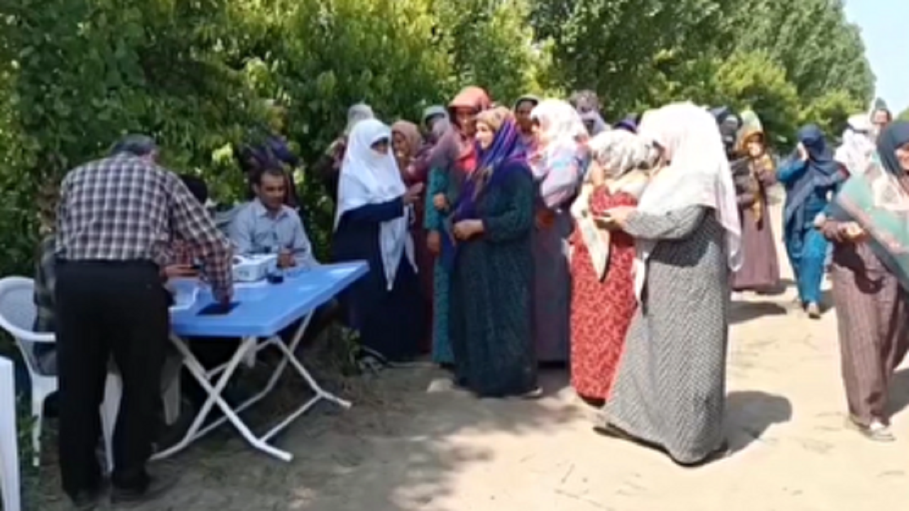 گرمای انتخابات در بزرگترین باغ موقوفه یکپارچه کشور