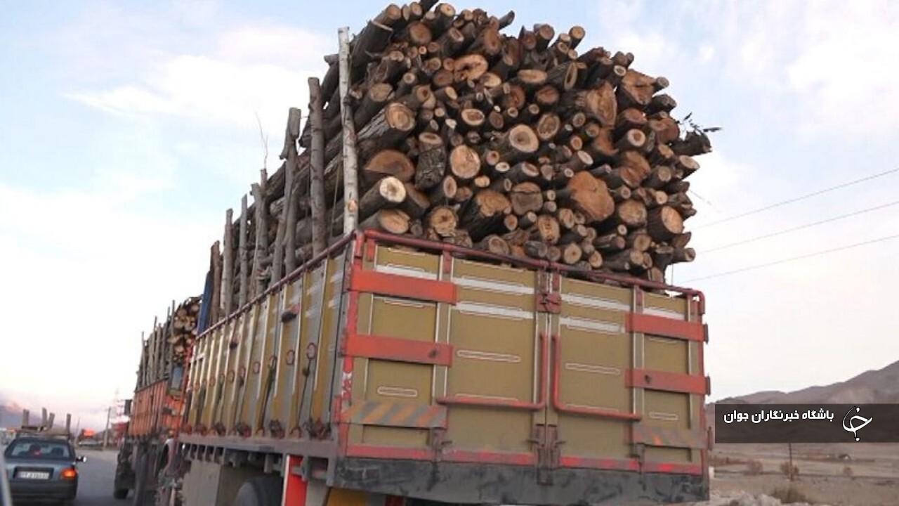 محموله ۱۲ تنی چوب قاچاق در مهاباد کشف شد