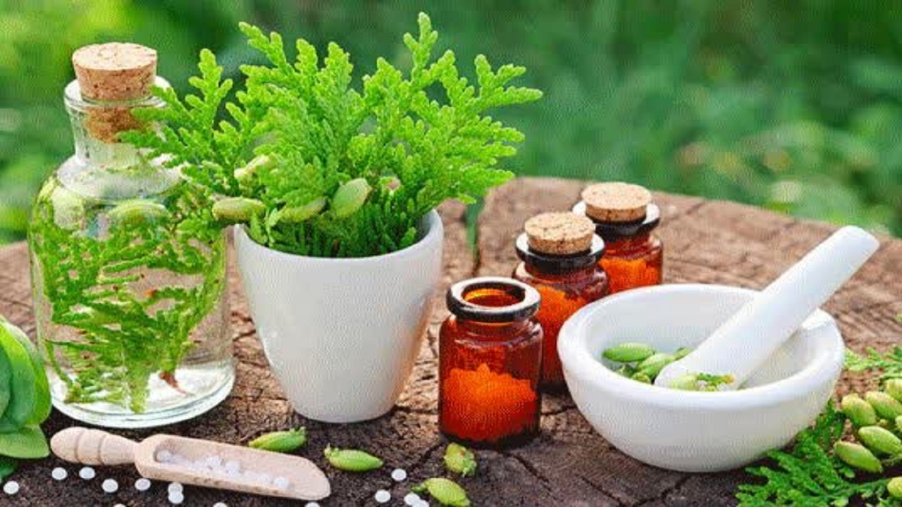 برگزاری دوره‌های آموزشی احیا و توسعه گیاهان دارویی  در اشکذر