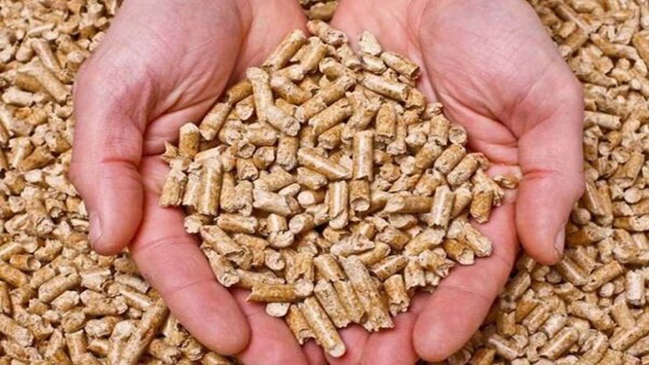 ۵ تن خوراک دام خارجی قاچاق تولید هندوستان در میامی توقیف شد