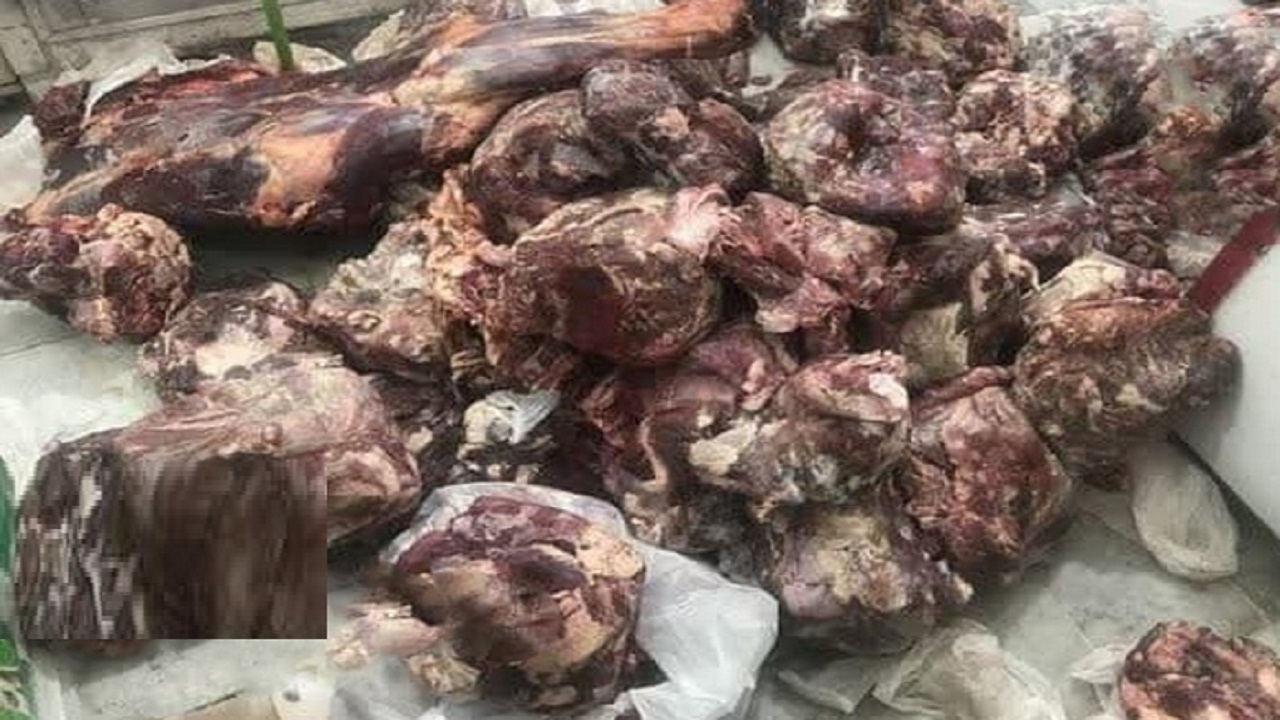 کشف و معدوم سازی ۱۸۴ کیلوگرم مواد دامی فاسد در همدان