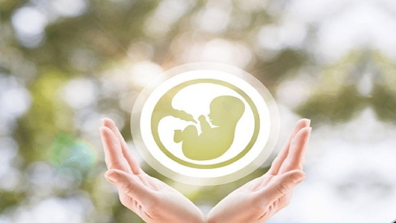 به زوجین تحت پوشش بیمه سلامت خدمات رایگان ناباروری ارائه می‌شود