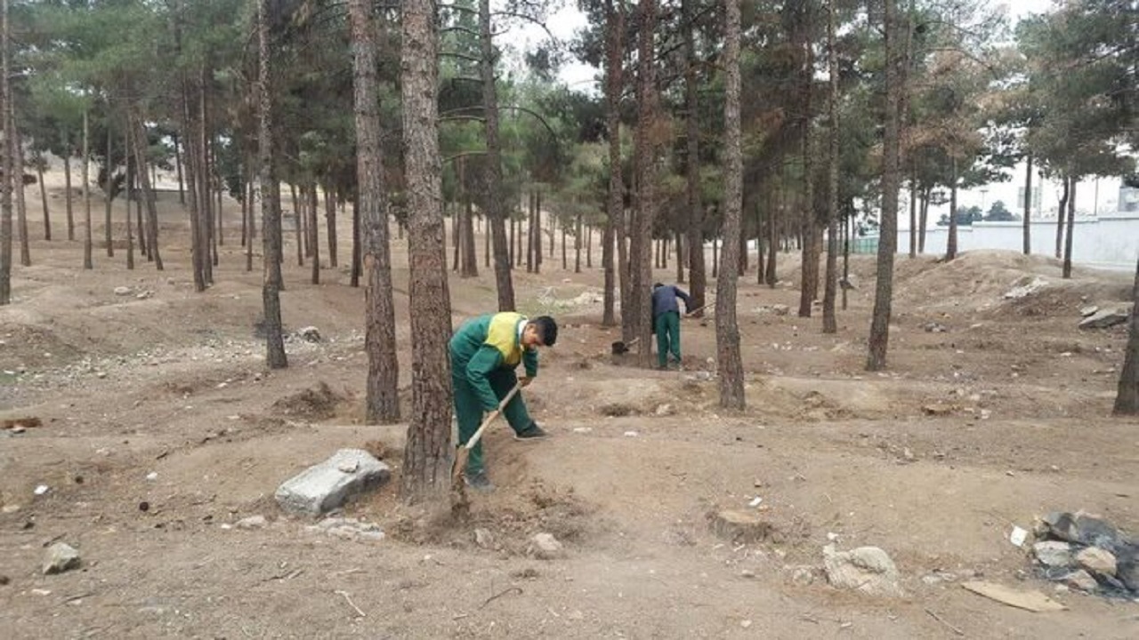لزوم پیگیری آبیاری بوستان‌های جنگلی تهران و اهمال‌ها در خشک شدن درختان