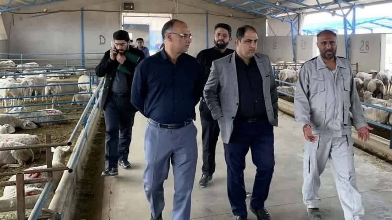 اهمیت امنیت غذایی و تضمین آن در جامعه