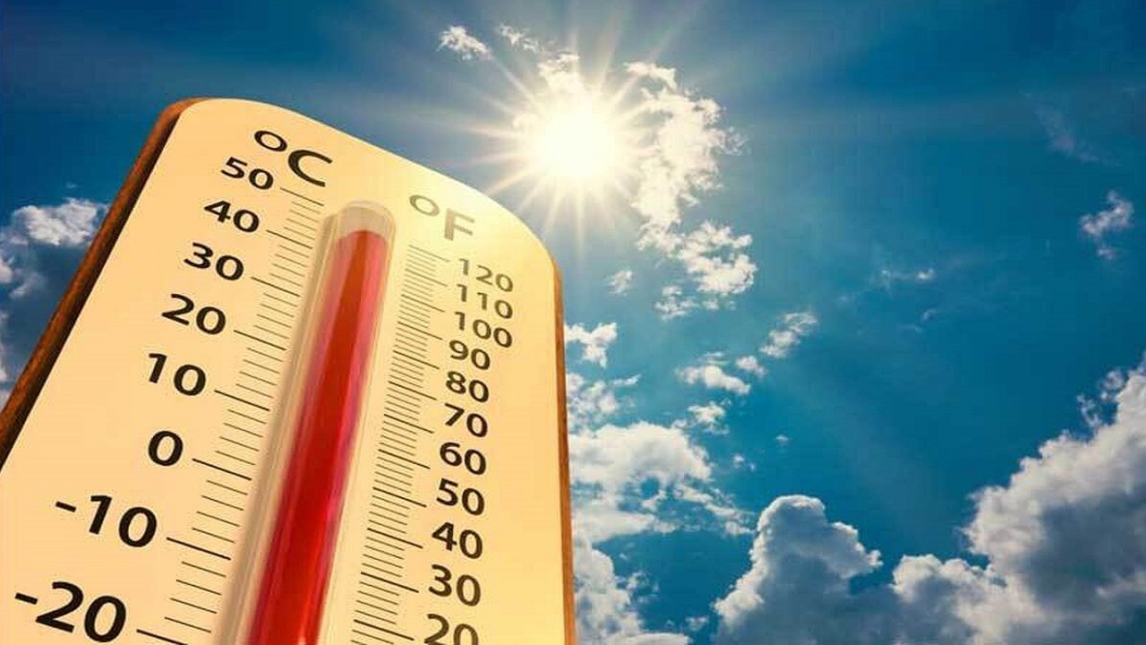 لحظه بیهوش شدن مجری لهستانی در برنامه زنده