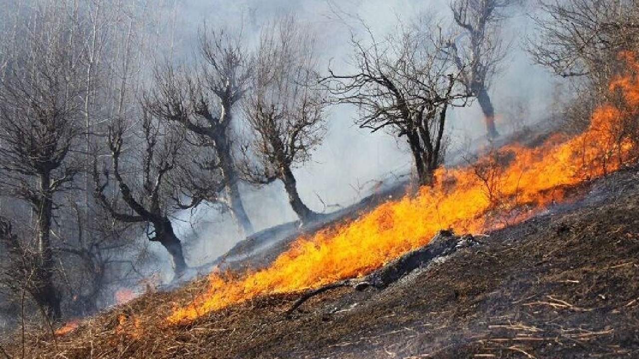 آتش به جان زاگرس؛ اعزام ۲ بالگرد از ایلام و تهران به خائیز