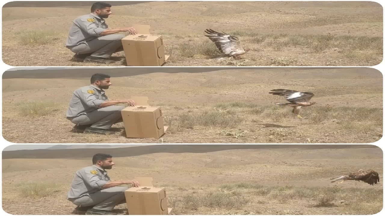 بازگشت سارگپه به آغوش طبیعت
