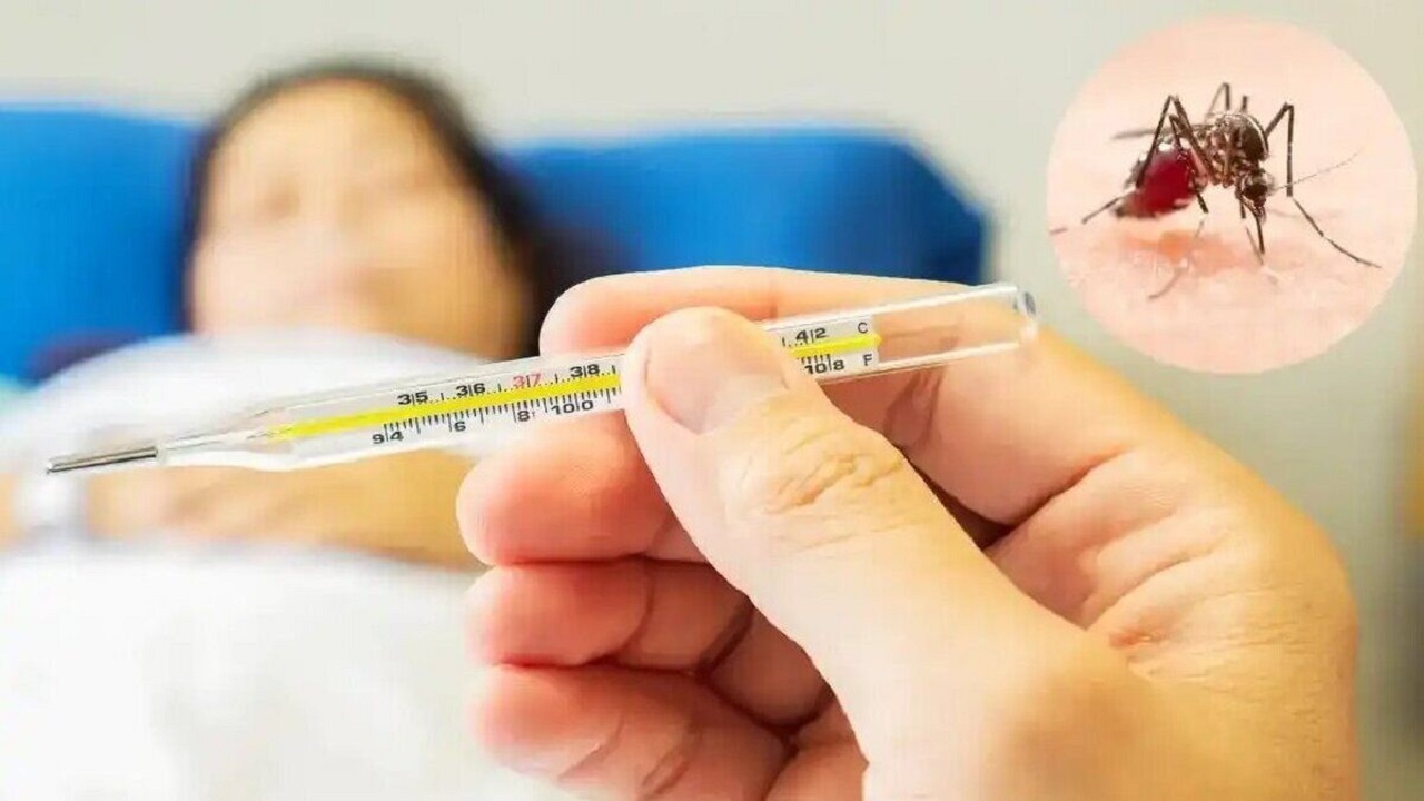 وضعیت بیماری تب دانگی در زنجان به صورت مستمر رصد می‌شود