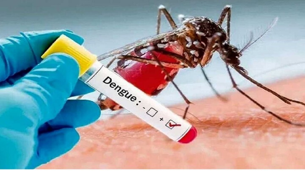 موردی از ابتلا به تب دنگی در همدان مشاهده نشده است