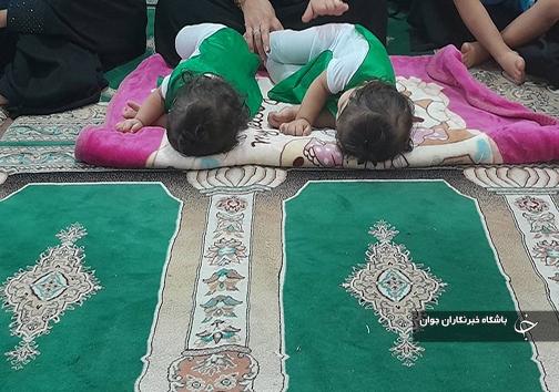 مراسم شیرخوارگان حسینی در هرمزگان
