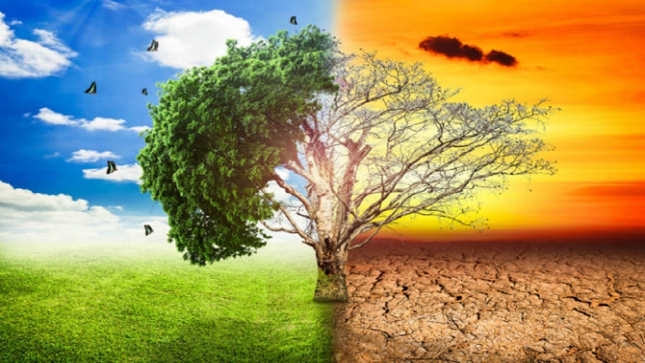 ریه‌های زمین در خطر نابودی