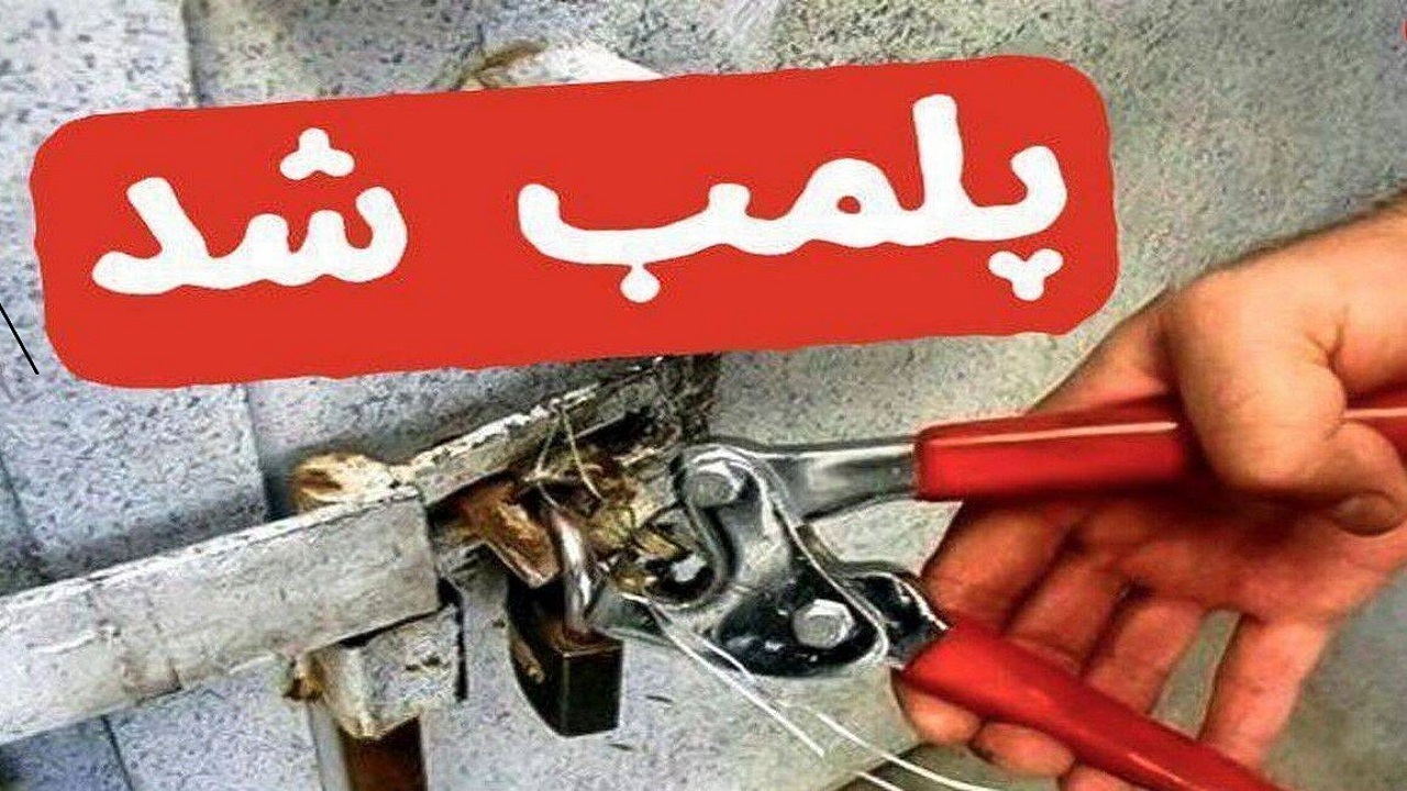 گزارش های به موقع مردم نانوای متخلف در سیب و سوران را نقره داغ کرد