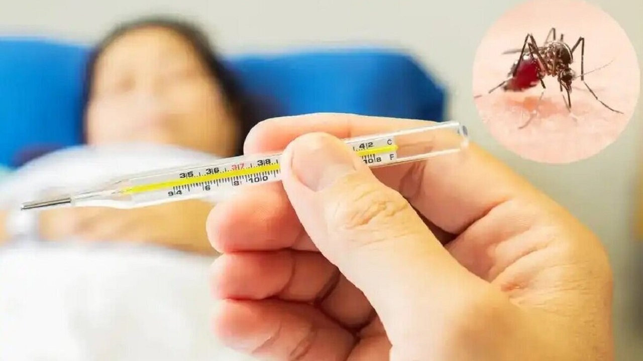 راه‌های پیشگیری از ابتلا به تب‌دنگی در مسافرت