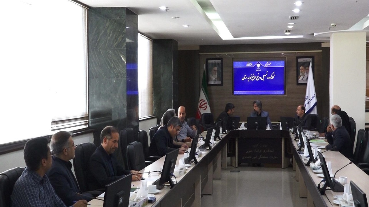 مشکلات ۱۷ واحد تولیدی خراسان جنوبی بررسی شد