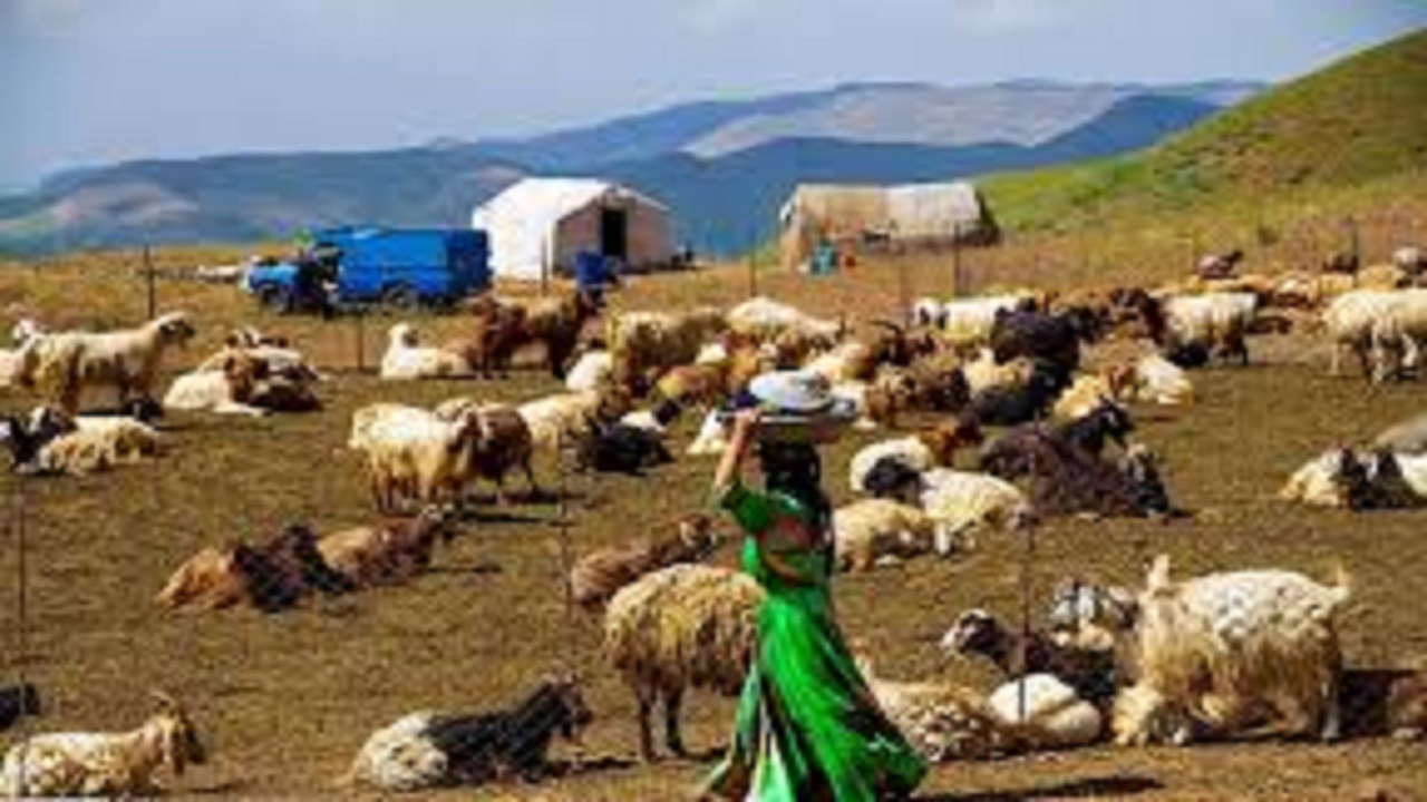 هزینه ۵۳۰ میلیاردی دولت برای در مناطق عشایری گچساران