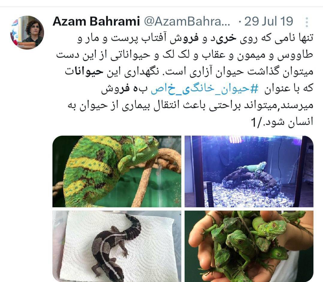 نظرات درباره خریدو فروش حیوانات