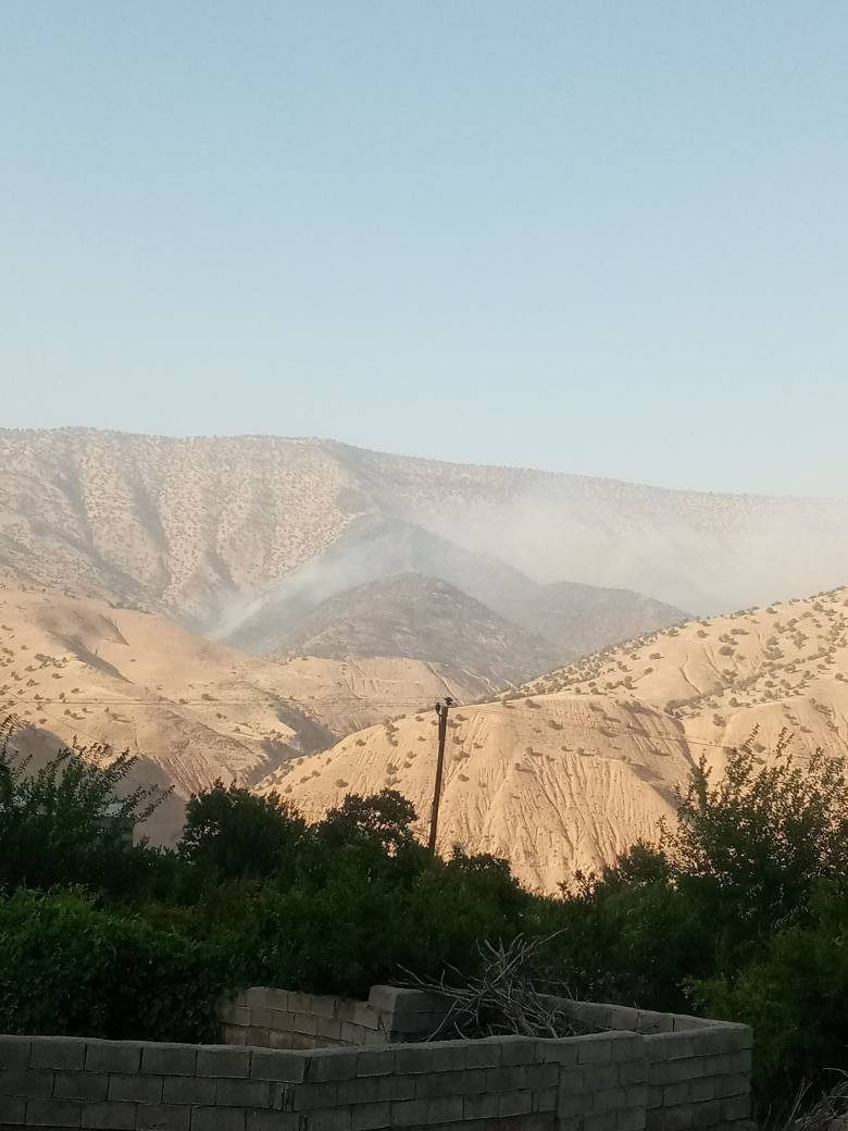 آتش سوزی درختان بلوط