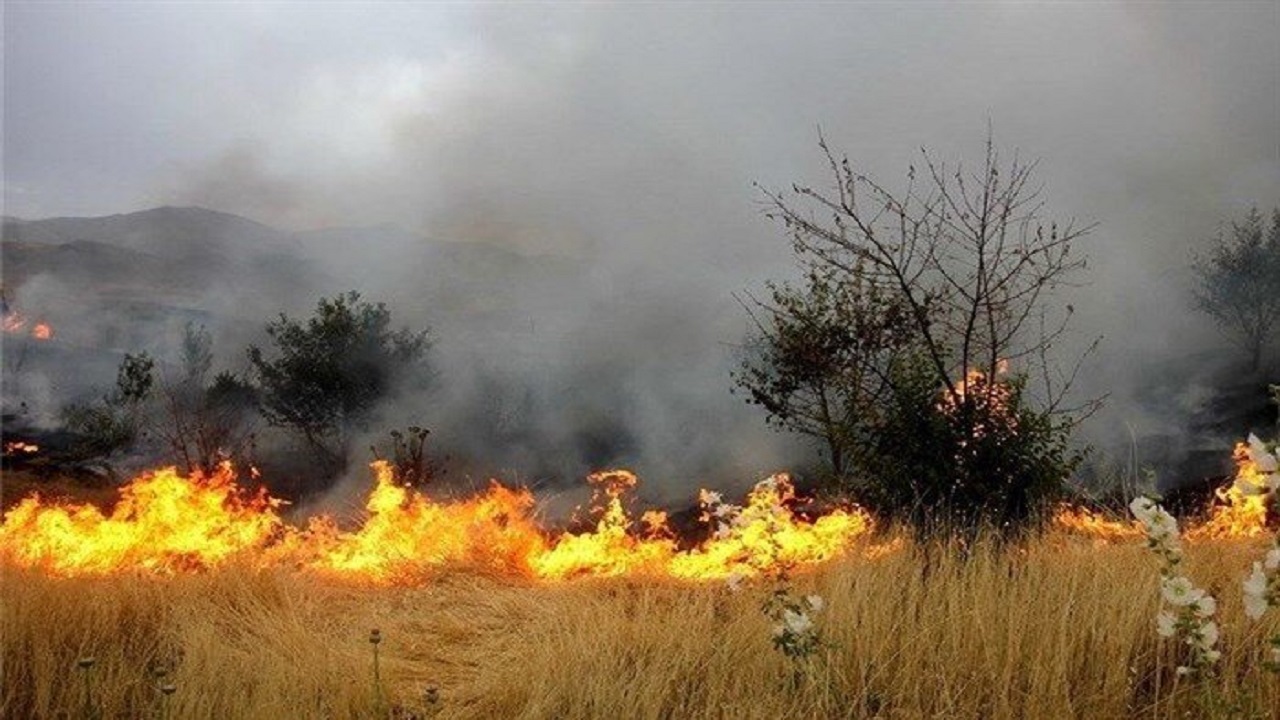 مهار آتش‌سوزی در مزارع گندم خدابنده