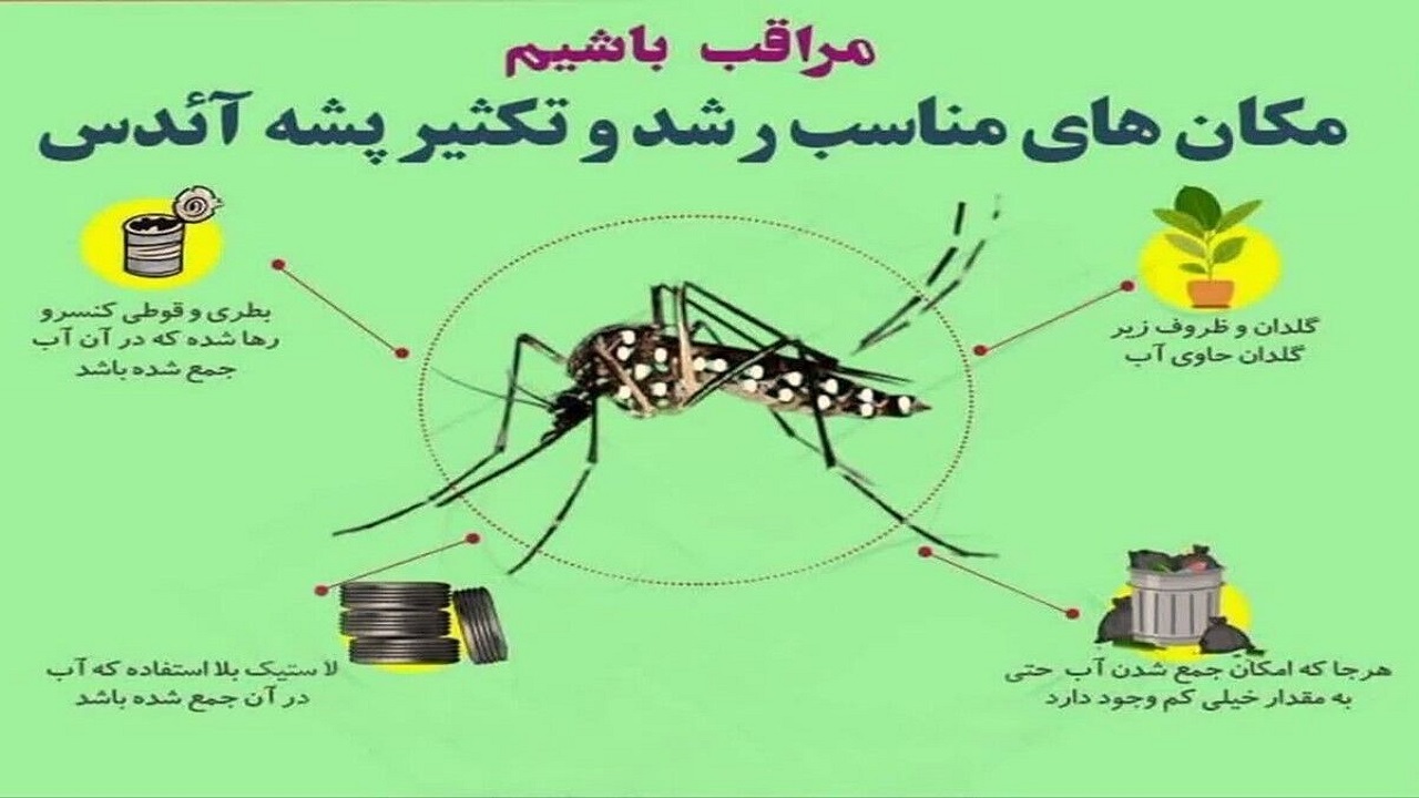 تمامی مسوولان مراقبت‌های تب دنگی در چابهار را جدی بگیرند