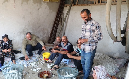مراسم سنتی کچ واچینی در شفت