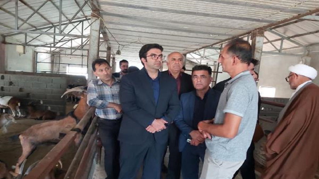 پرورش بز، یکی از برنامه‌های راهبردی افزایش تولید گوشت قرمز